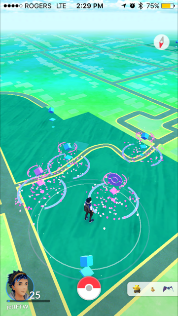 Gage Park Pokemon Go